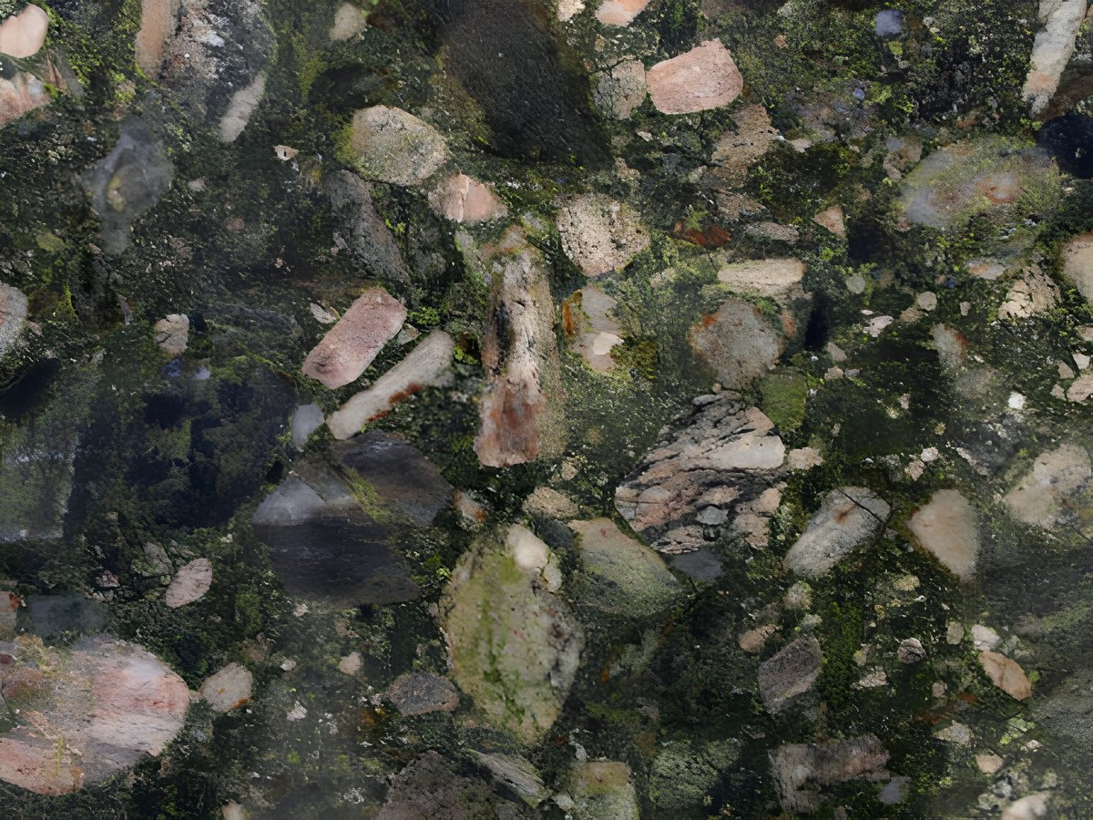 MARINACE VERDE