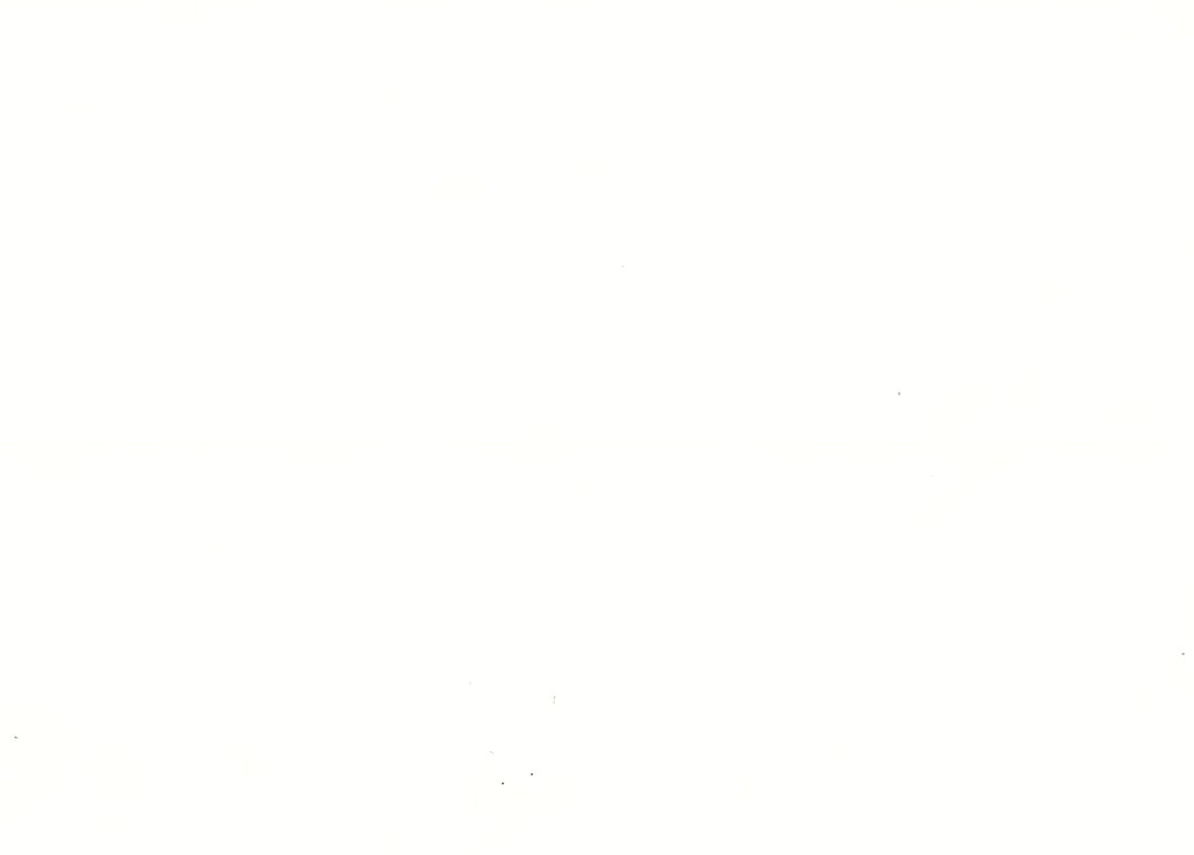 אבן קיסר דגם 1141