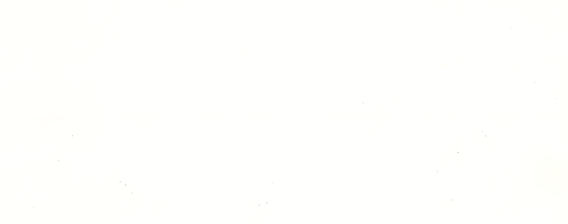 אבן קיסר דגם 1141 בגוון לבן