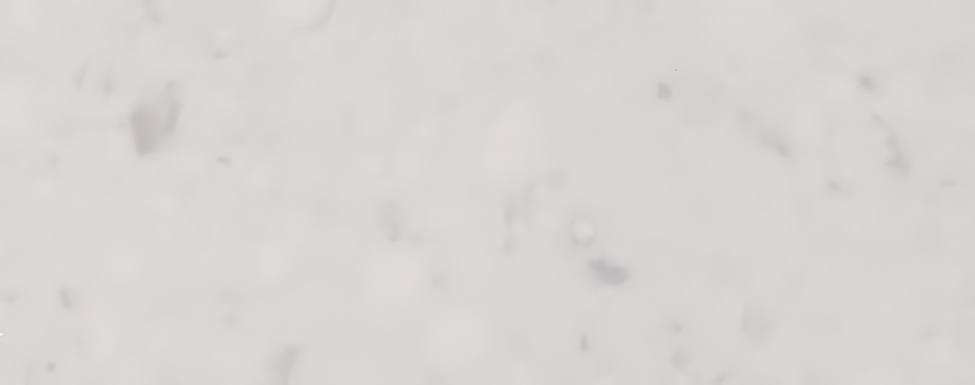 אבן קיסר דגם 4141 בגוון לבן